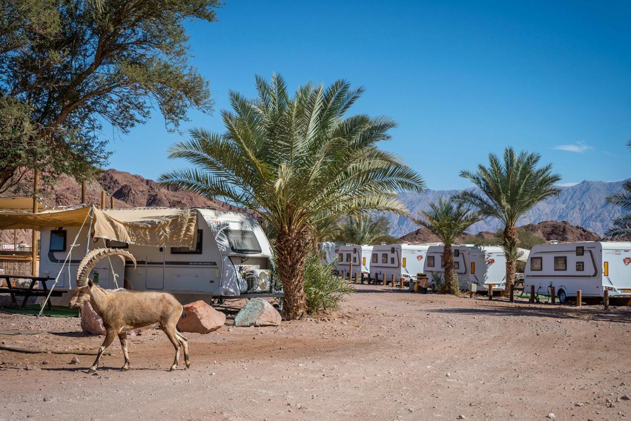 Park Timna Ξενοδοχείο Ελάτ Εξωτερικό φωτογραφία