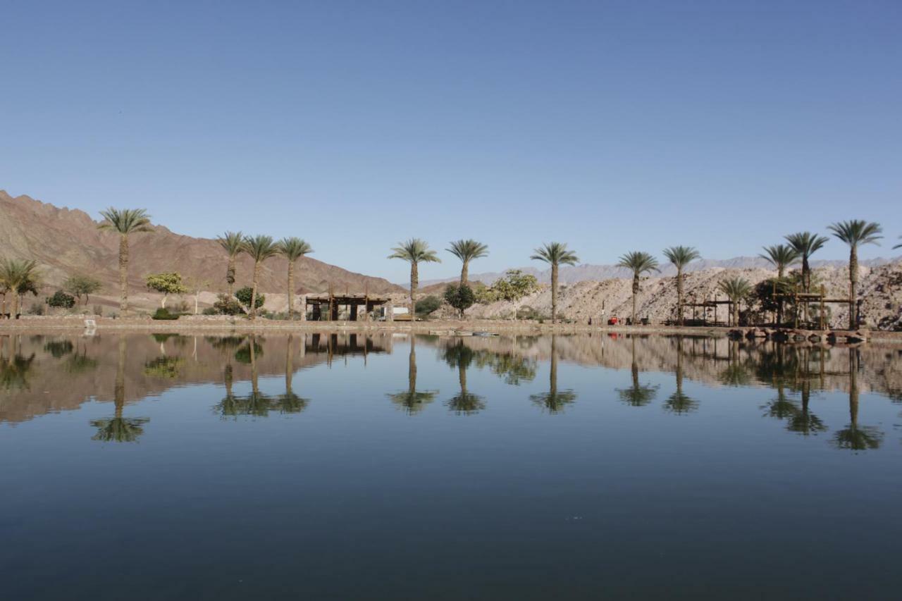 Park Timna Ξενοδοχείο Ελάτ Εξωτερικό φωτογραφία